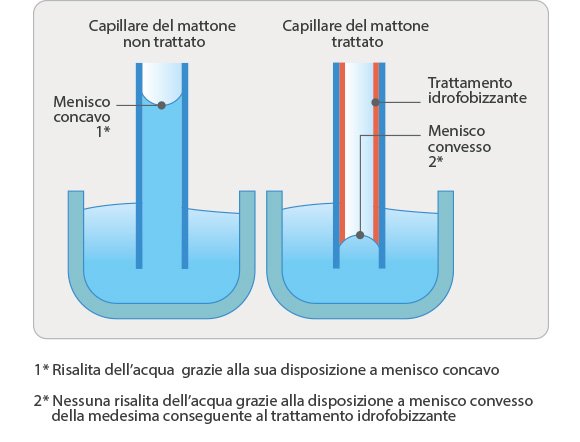 schema capillari_1